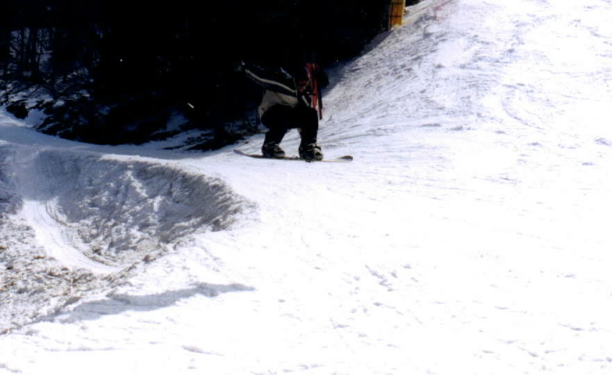 snowshoejumpdusty.jpg